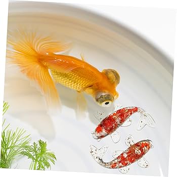 鯉デザインの赤色　巨大風船 10枚セット Amazon.co.jp: TOPPERFUN 2個 魚 水槽 室内 鯉 イラスト